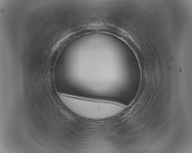 X0000076091304200609220953