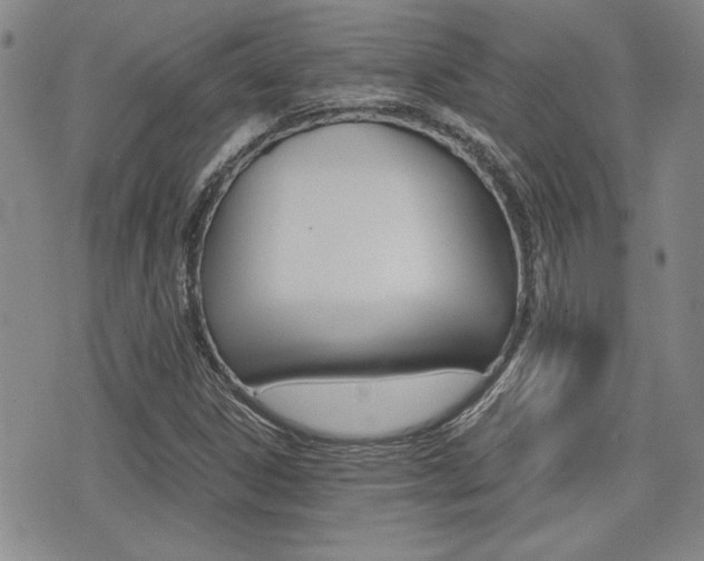 X0000076091306200609220953