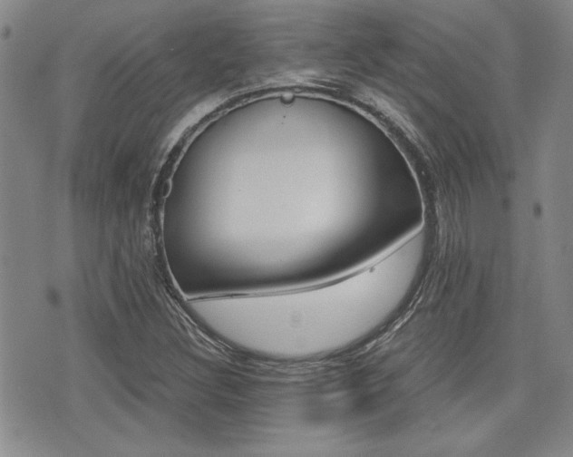 X0000076091308200609220953