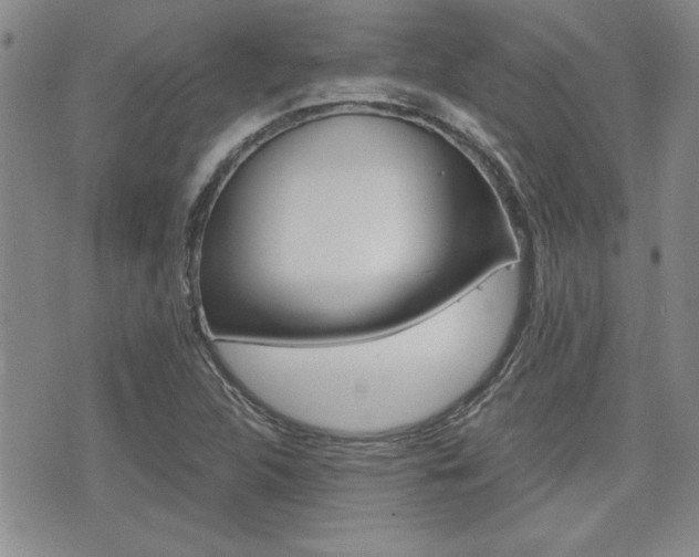 X0000076091312200609220953