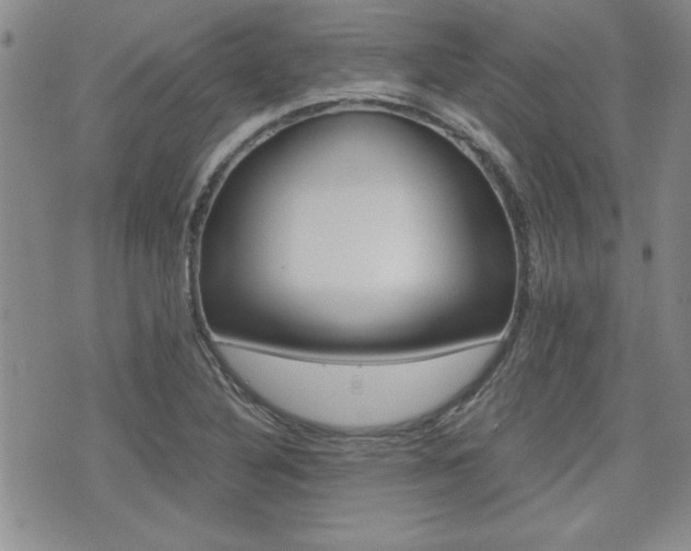 X0000076091316200609220953