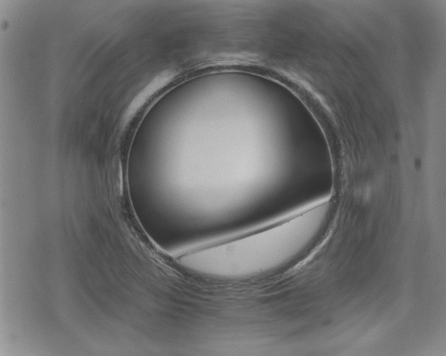 X0000076091317200609220953