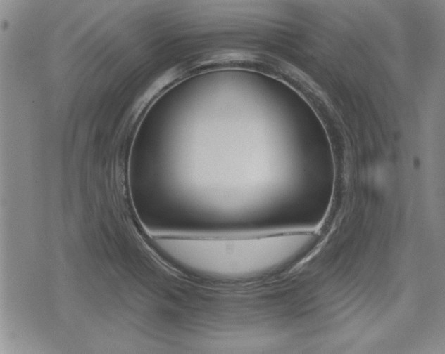 X0000076091321200609220953