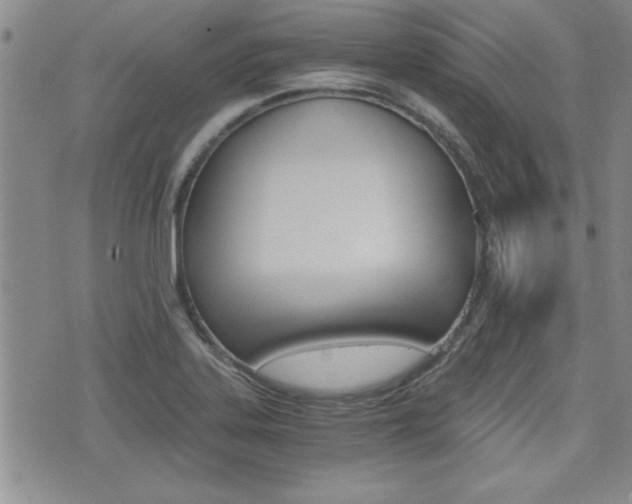 X0000076091323200609220953