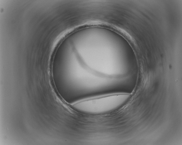 X0000076091327200609220953