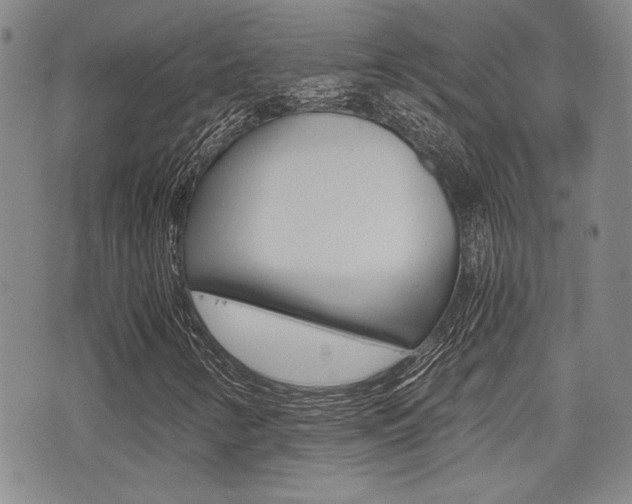 X0000076091346200609220953