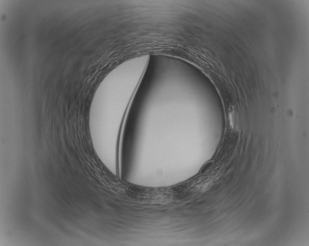 X0000076091347200609220953