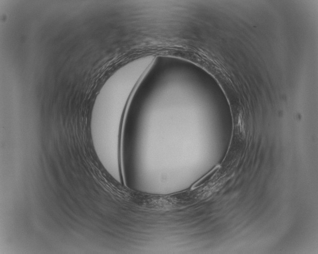 X0000076091348200609220953