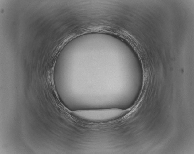 X0000076091353200609220953