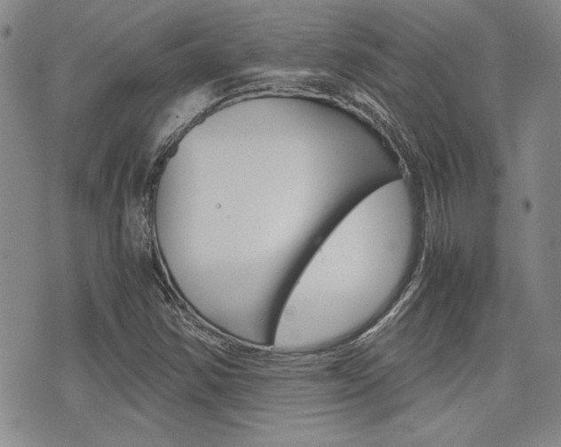 X0000076091354200609220953