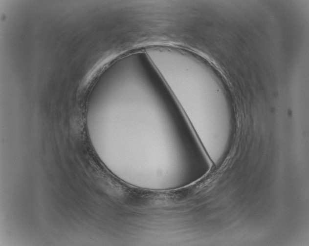 X0000076091359200609220953