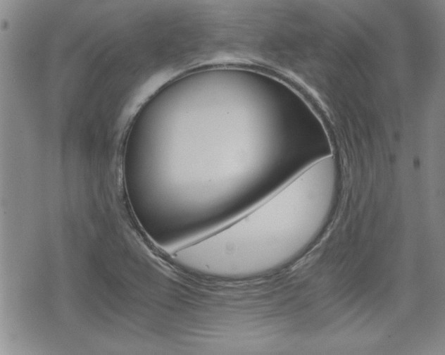 X0000076091367200609220953