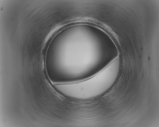 X0000076091368200609220953