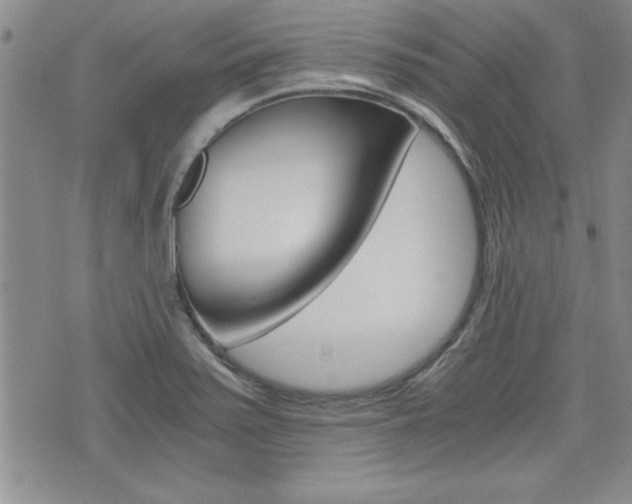 X0000076091371200609220952