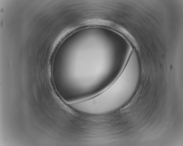 X0000076091376200609220952