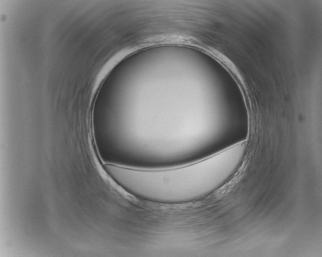 X0000076091389200609220952