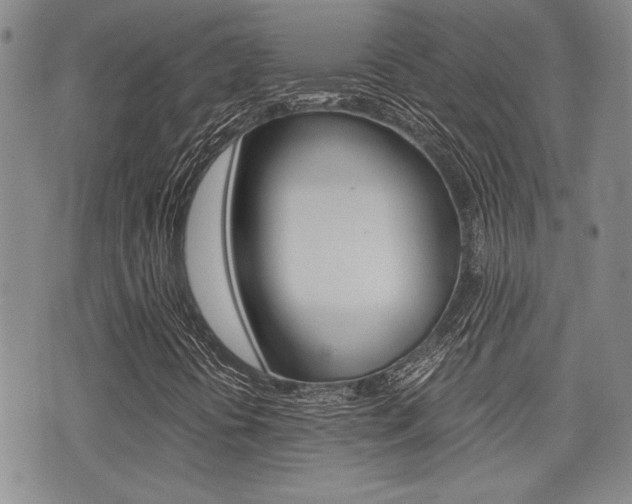 X0000076091394200609220951