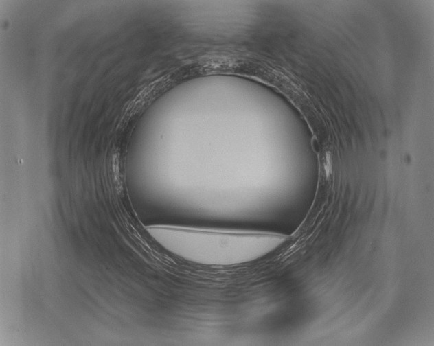 X0000076091396200609220951