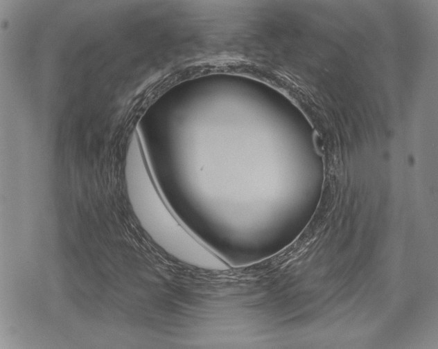 X0000076091398200609220951