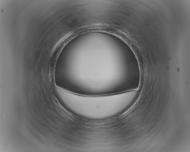 X0000076091402200609220951