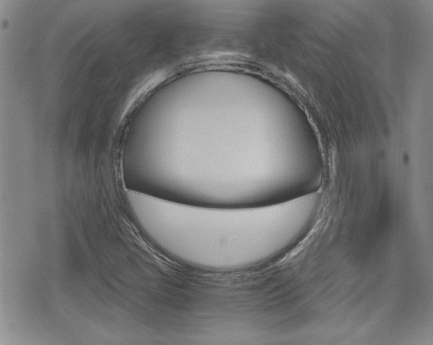 X0000076091405200609220952