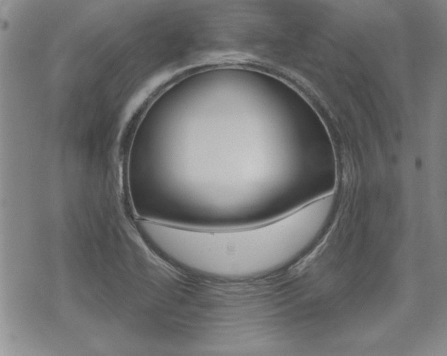 X0000076091414200609220952