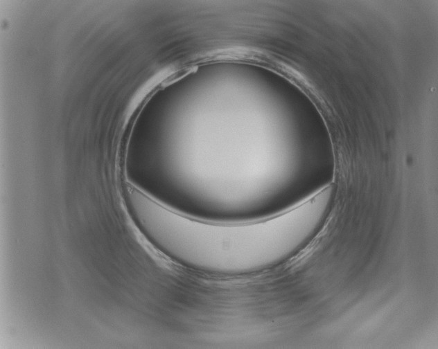X0000076091426200609220952