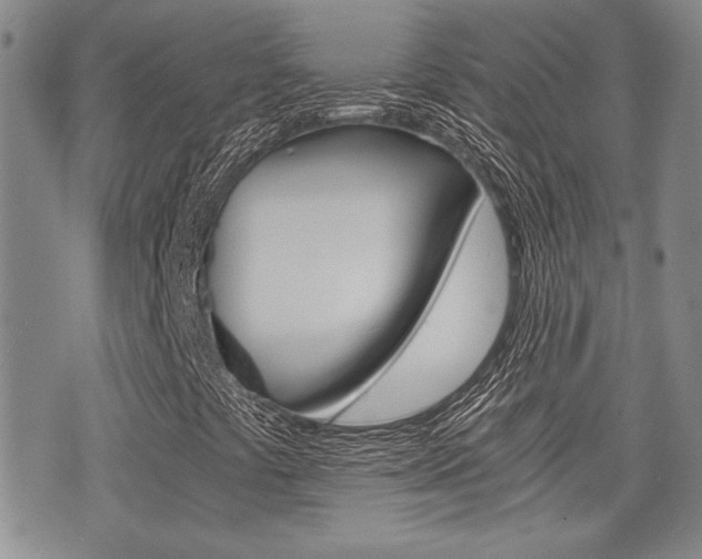 X0000076091441200609220951