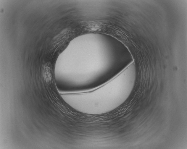 X0000076091442200609220951