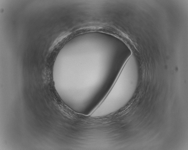 X0000076091448200609220951