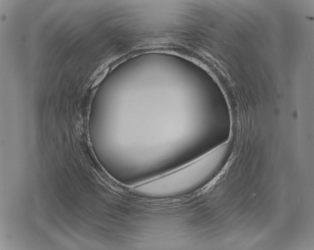X0000076091449200609220951