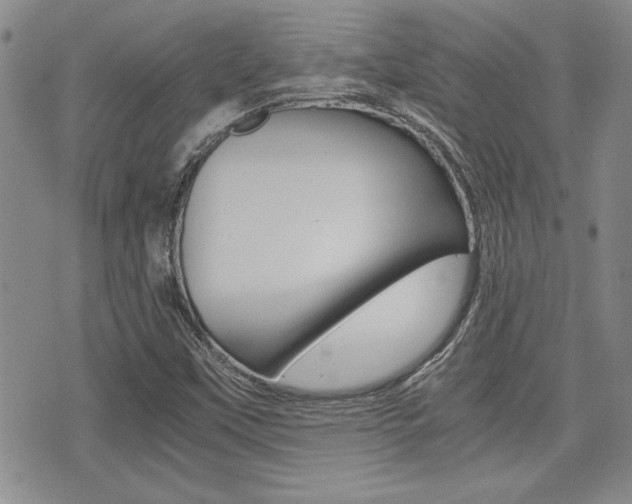 X0000076091451200609220951