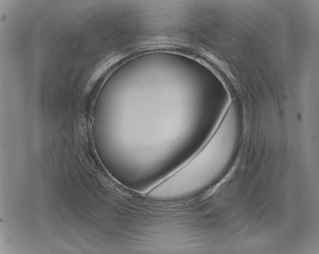X0000076091453200609220951