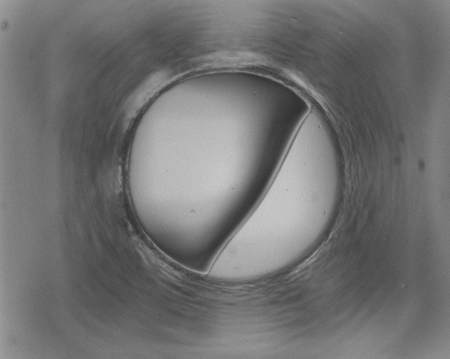 X0000076091459200609220951