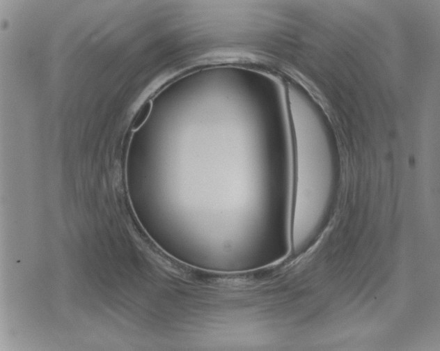 X0000076091465200609220951