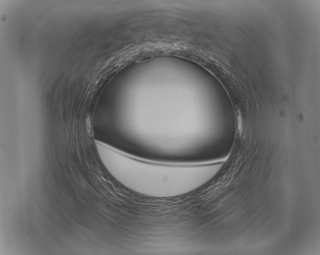 X0000076091492200609220950
