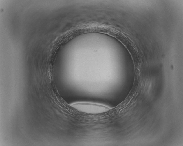 X0000076091493200609220950