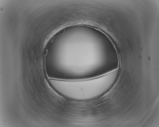 X0000076091500200609220950
