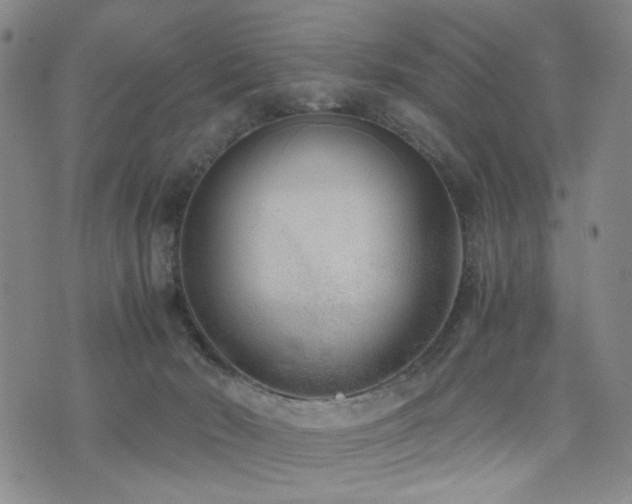 X0000076090030200609221209