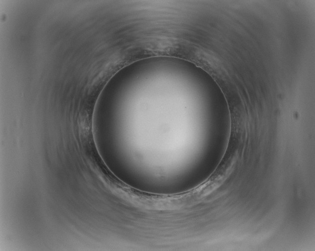 X0000076090040200609221208