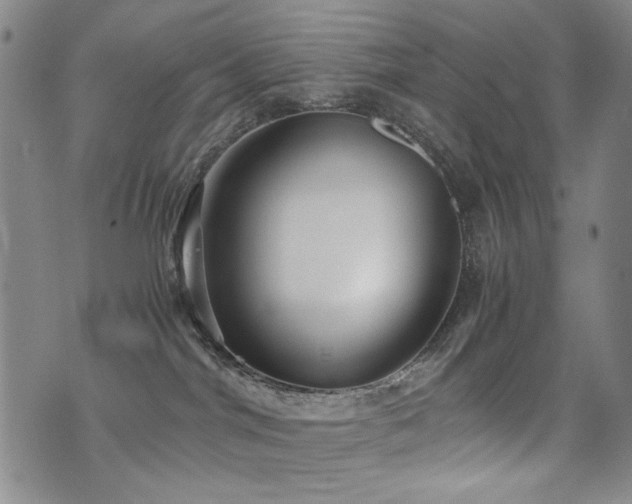 X0000076090044200609221208