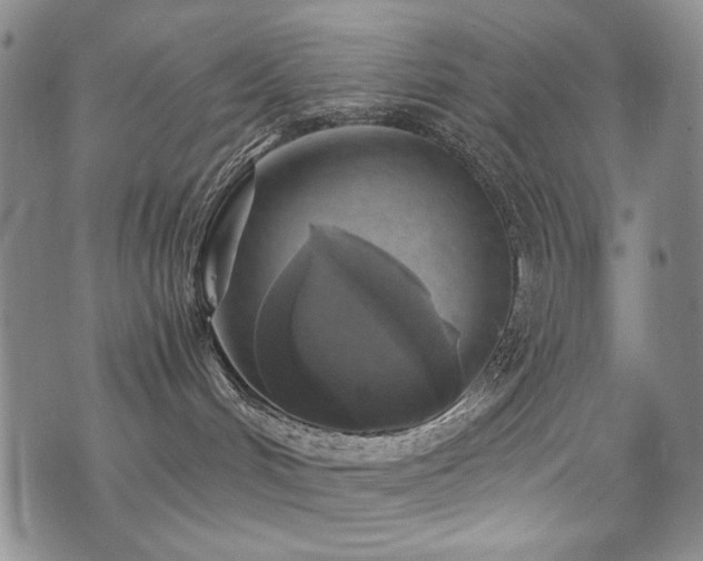 X0000076090048200609221208