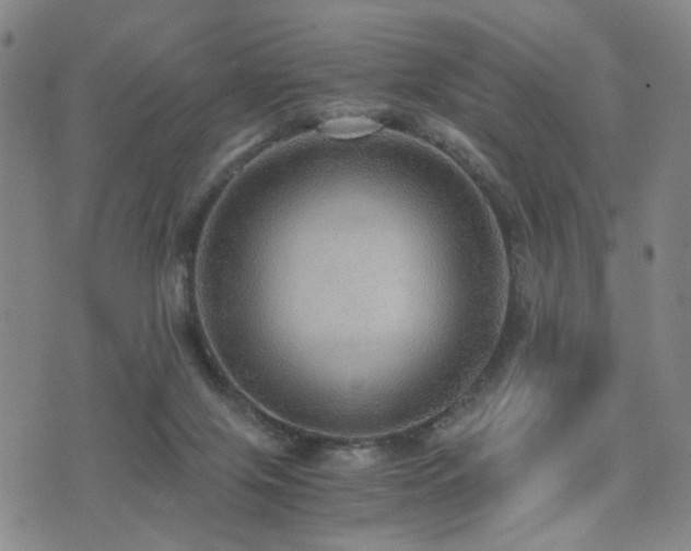 X0000076090071200609221208