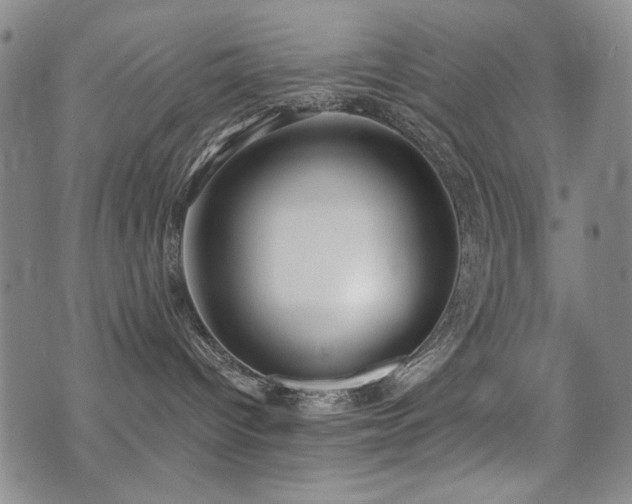 X0000076090096200609221208