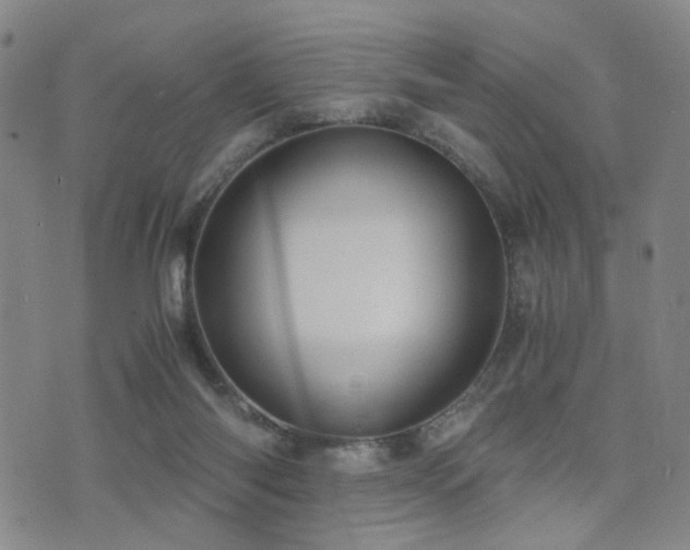 X0000076090118200609221207