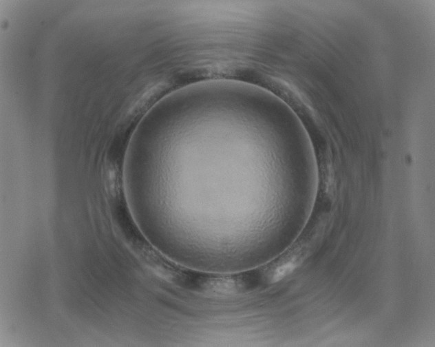 X0000076090123200609221207