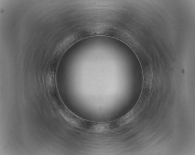 X0000076090126200609221207