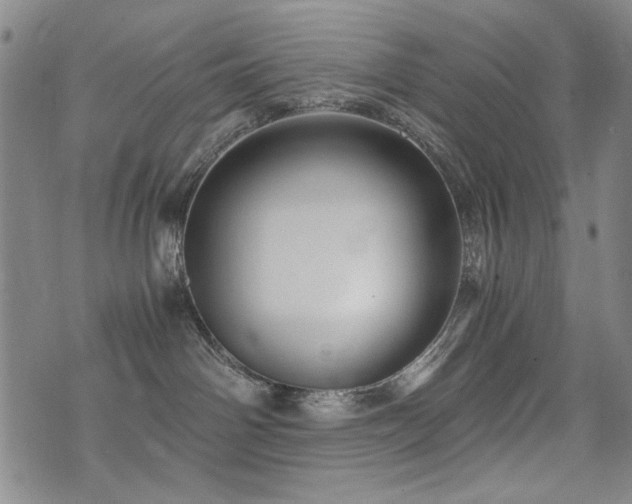 X0000076090142200609221207