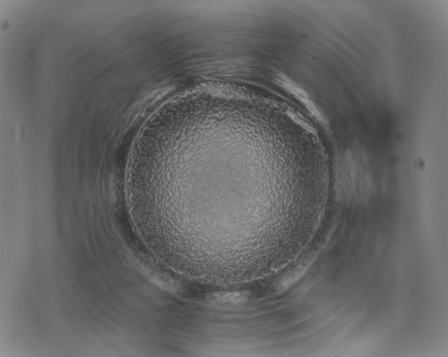 X0000076090161200609221206