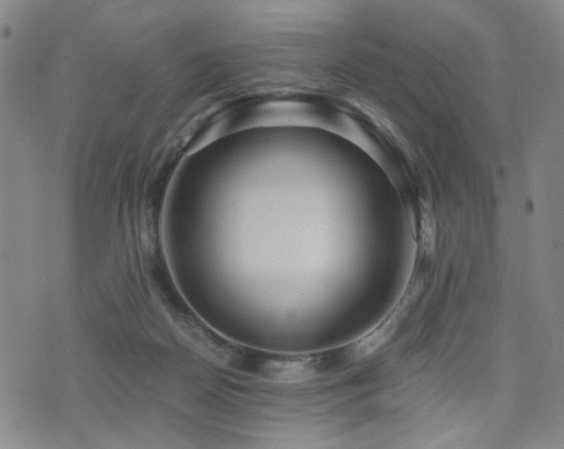 X0000076090170200609221206